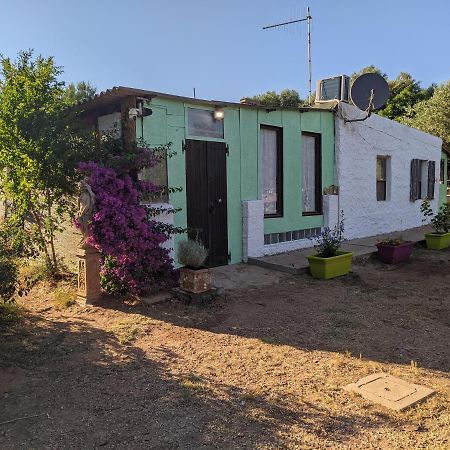 Casa Carlo Vila Alghero Exterior foto